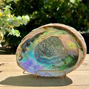 Vintage Iridescent Abalone Seashell Dish